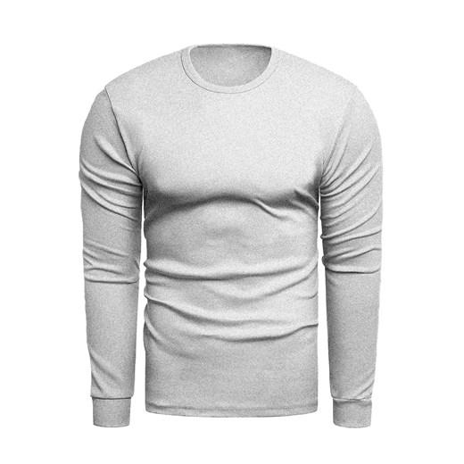 Bluza męska N02L - szara ze sklepu Risardi w kategorii T-shirty męskie - zdjęcie 162120448