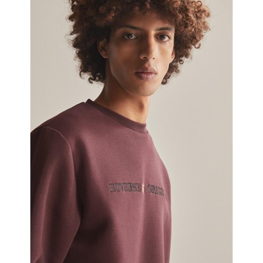 Bluza męska Diverse w paski