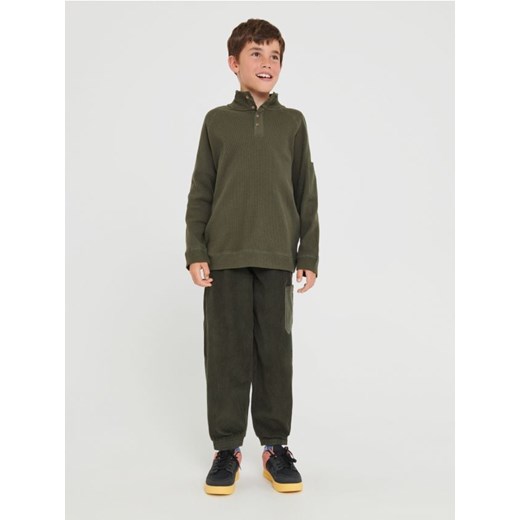 Sinsay - Spodnie - zielony ze sklepu Sinsay w kategorii Spodnie chłopięce - zdjęcie 162689958