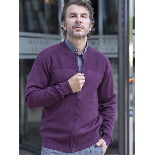 Sweter męski rozpinany - Simon (duży) - śliwka - 3XL ze sklepu Swetry Lasota w kategorii Swetry męskie - zdjęcie 162813646