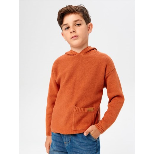 Sinsay - Sweter z kapturem - pomarańczowy ze sklepu Sinsay w kategorii Swetry chłopięce - zdjęcie 162947645