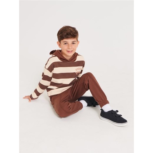 Sinsay - Spodnie dresowe jogger - brązowy ze sklepu Sinsay w kategorii Spodnie chłopięce - zdjęcie 163435658