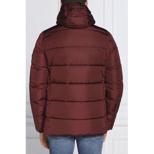 Save The Duck Parka CLIFF | Regular Fit Save The Duck M Gomez Fashion Store okazyjna cena