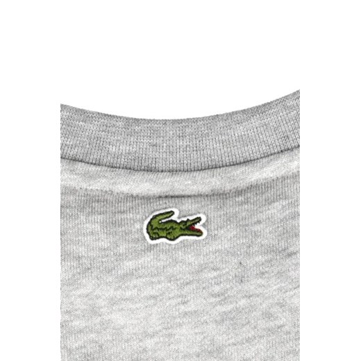 Bluza chłopięca Lacoste szara
