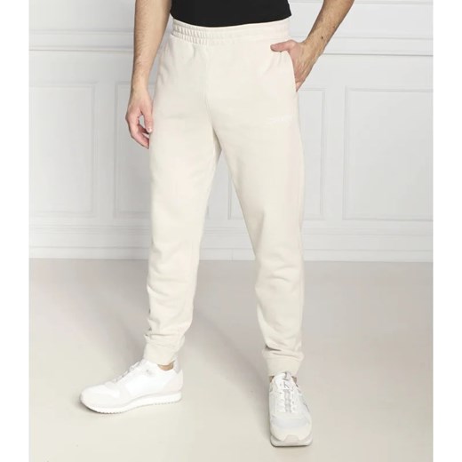Calvin Klein Performance Spodnie dresowe | Regular Fit ze sklepu Gomez Fashion Store w kategorii Spodnie męskie - zdjęcie 164322366