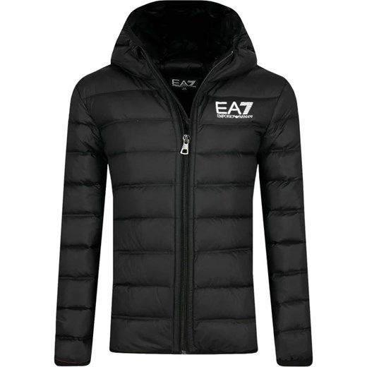 EA7 Puchowa kurtka | Regular Fit 160 wyprzedaż Gomez Fashion Store