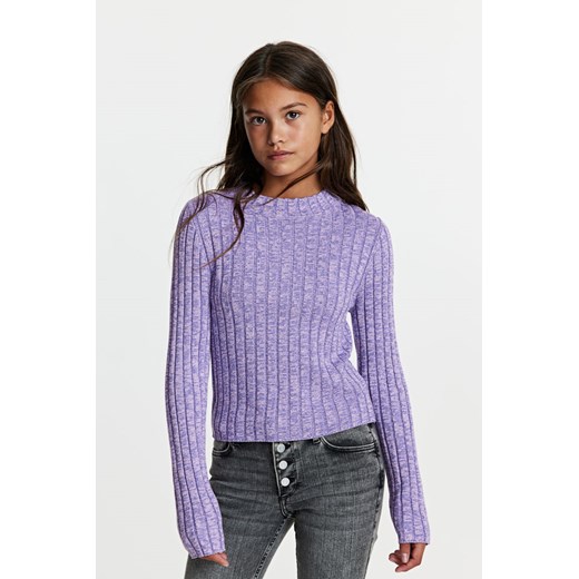 H & M - Sweter w prążki z półgolfem - Fioletowy H & M 170 (14Y+) H&M