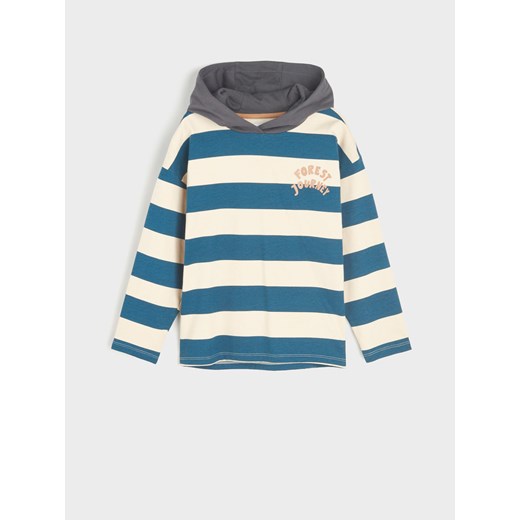 Bluza chłopięca Sinsay