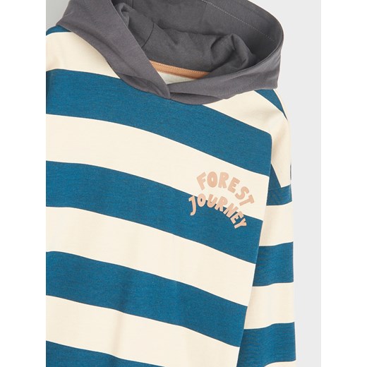 Bluza chłopięca Sinsay z bawełny