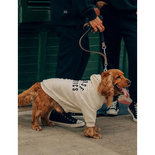Ubranko dla psa ATH DOG Kość Słoniowa XS ze sklepu Diverse w kategorii Dla zwierząt - zdjęcie 164518536