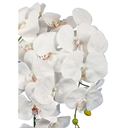 Biały storczyk orchidea- sztuczne kwiaty 60 cm 3pgbb Pantofelek24 60 cm. Pantofelek24.pl Jacek Włodarczyk