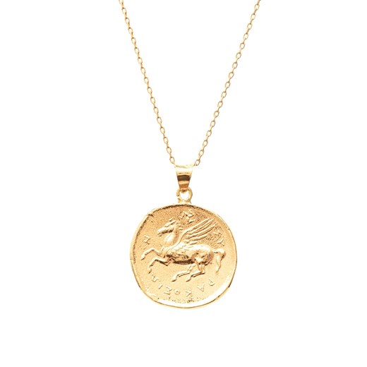 naszyjnik z monetą  srebrny pozłacany ze sklepu ANIA KRUK w kategorii Naszyjniki - zdjęcie 165592267