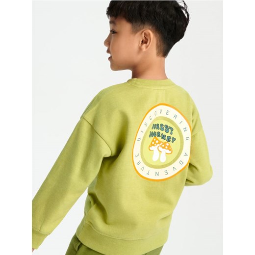 Sinsay - Bluza - zielony ze sklepu Sinsay w kategorii Bluzy chłopięce - zdjęcie 165602405
