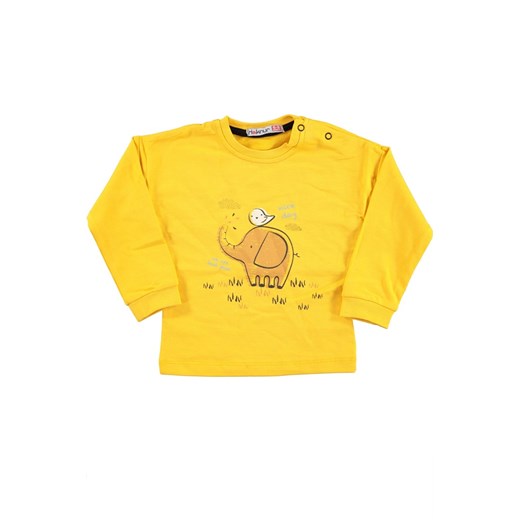 Bluza dziecięca MONTRI ze sklepu Ivet Shop w kategorii Bluzy chłopięce - zdjęcie 165789609
