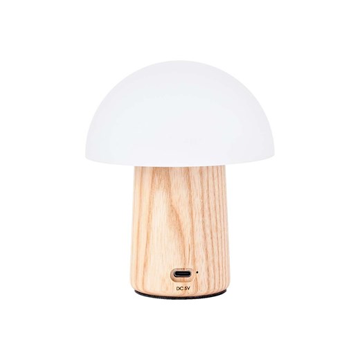 Lampion/lampka Gingko Design