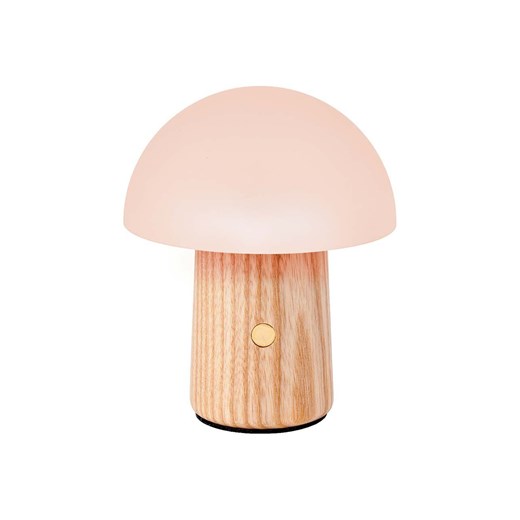 Lampion/lampka Gingko Design