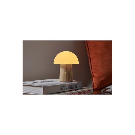 Lampion/lampka Gingko Design