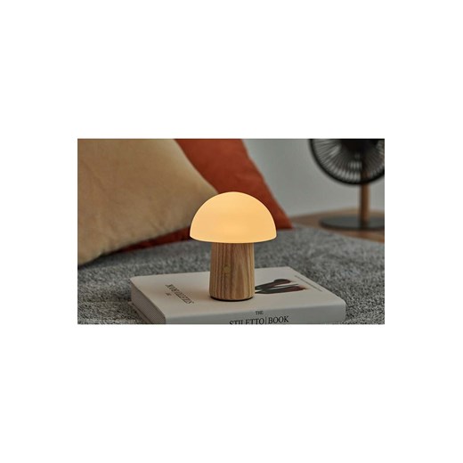 Lampion/lampka Gingko Design
