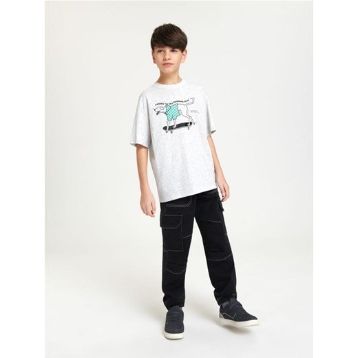 Sinsay - Koszulka z nadrukiem - szary ze sklepu Sinsay w kategorii T-shirty chłopięce - zdjęcie 167888595