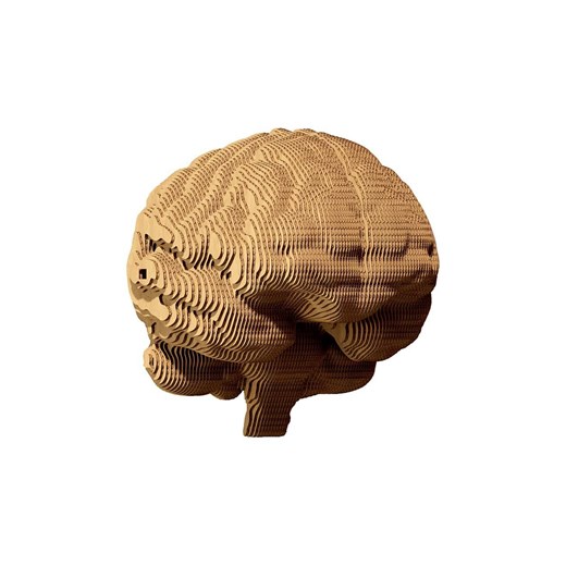 Cartonic puzzle 3d Brain ze sklepu ANSWEAR.com w kategorii Puzzle - zdjęcie 168705715