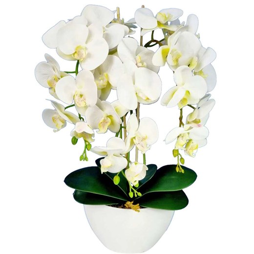 Storczyk orchidea Ecru- sztuczne kwiaty 60 cm 3pgbw ze sklepu Pantofelek24.pl w kategorii Dekoracje - zdjęcie 168767706