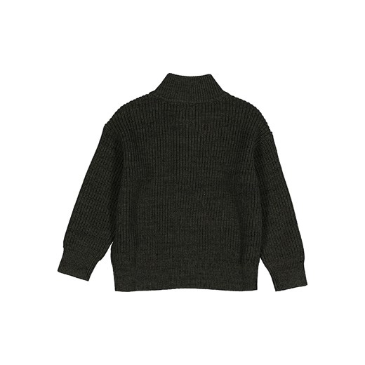 Sweter chłopięcy Gap 