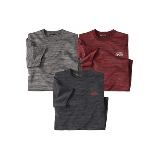 Zestaw 3 koszulek Sport ze sklepu Atlas For Men w kategorii T-shirty męskie - zdjęcie 168978228
