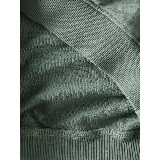 Reserved - Bluza z aplikacją - jasnozielony Reserved 5-2 lata) Reserved