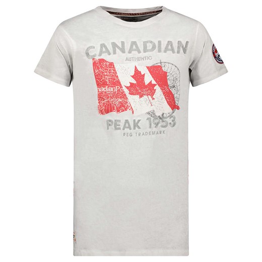 Canadian Peak Koszulka &quot;Japoreak&quot; w kolorze szarym ze sklepu Limango Polska w kategorii T-shirty męskie - zdjęcie 169427837
