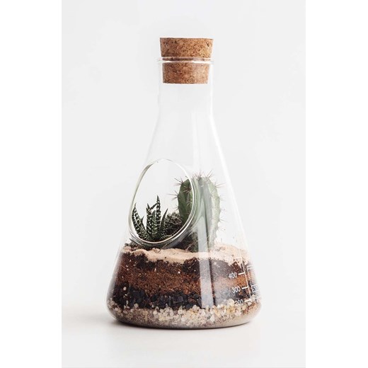 Luckies of London terrarium roślinne Luckies Of London ONE ANSWEAR.com