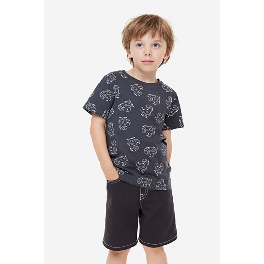 H & M - T-shirt 3-pak - Szary ze sklepu H&M w kategorii T-shirty chłopięce - zdjęcie 169648298
