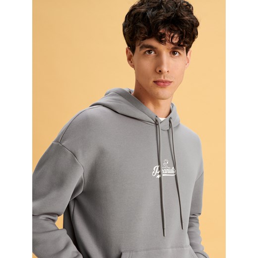 Sinsay - Bluza Snoopy - szary Sinsay XXL Sinsay