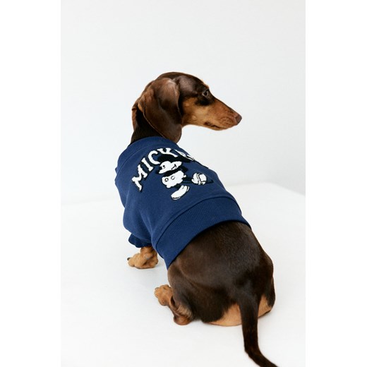 H & M - Ubranko dla psa - Niebieski ze sklepu H&M w kategorii Dla zwierząt - zdjęcie 169675247