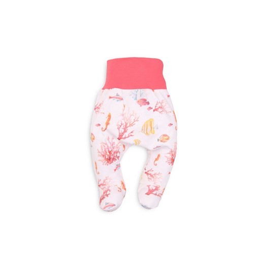 Bawełniane półśpiochy niemowlęce z motywem rafy ze sklepu 5.10.15 w kategorii Spodnie i półśpiochy - zdjęcie 169686969