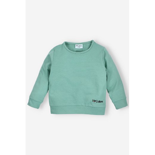 Zielona bluza dresowa dziewczęca z hatem - I Love Colors ze sklepu 5.10.15 w kategorii Bluzy dziewczęce - zdjęcie 169690706