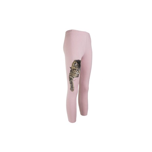 Dziewczęce legginsy różowe z kotkiem ze sklepu 5.10.15 w kategorii Spodnie dziewczęce - zdjęcie 169698558