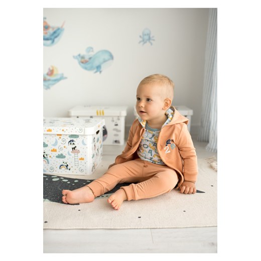Bluza niemowlęca z bawełny organicznej dla chłopca ze sklepu 5.10.15 w kategorii Bluzy i swetry - zdjęcie 169708029
