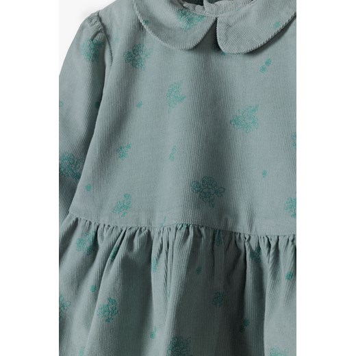Niebieska bawełniana sukienka niemowlęca z kołnierzykiem 5.10.15. 74 promocja 5.10.15
