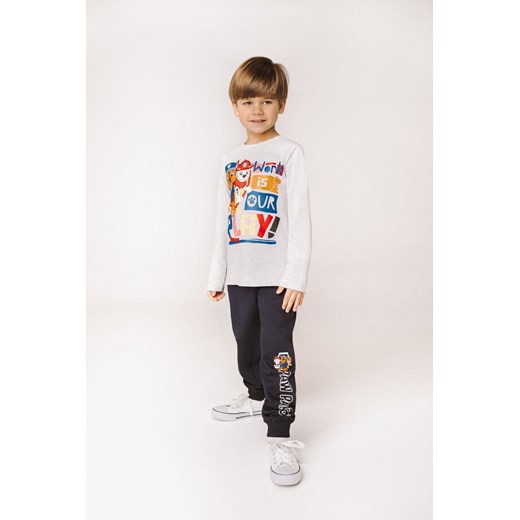 Bluzka chłopięca szara Psi Patrol szary ze sklepu 5.10.15 w kategorii T-shirty chłopięce - zdjęcie 169711366