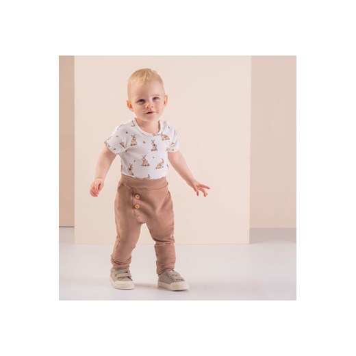 Spodnie dresowe chłopięce Benio ze sklepu 5.10.15 w kategorii Spodnie i półśpiochy - zdjęcie 169714928