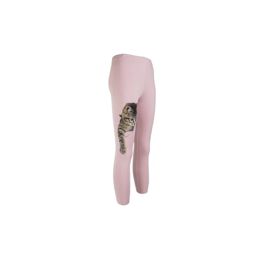 Dziewczęce legginsy różowe z kotkiem ze sklepu 5.10.15 w kategorii Spodnie dziewczęce - zdjęcie 169715908