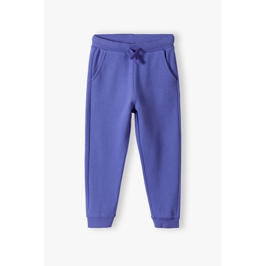 Niebieskie spodnie dresowe dla dziecka - unisex - Limited Edition ze sklepu 5.10.15 w kategorii Spodnie chłopięce - zdjęcie 169730966