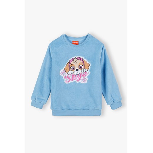 Bluza nierozpinana  dziewczęca Psi Patrol - niebieska ze sklepu 5.10.15 w kategorii Bluzy dziewczęce - zdjęcie 169782699
