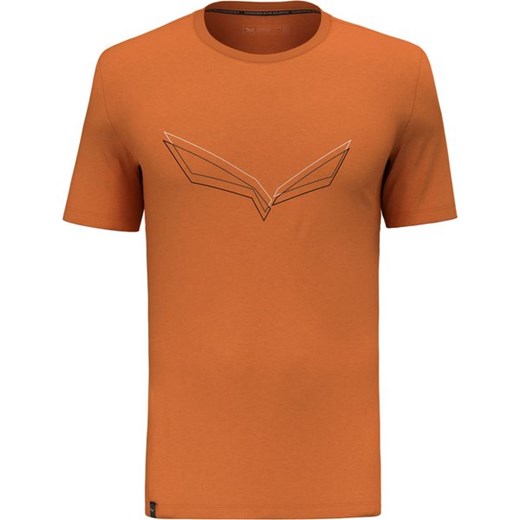 Koszulka męska Pure Eagle Frame Dry Salewa ze sklepu SPORT-SHOP.pl w kategorii T-shirty męskie - zdjęcie 169788479