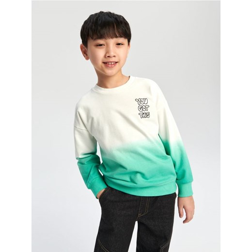 Sinsay - Bluza z nadrukiem - zielony ze sklepu Sinsay w kategorii Bluzy chłopięce - zdjęcie 169813825
