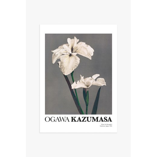 H & M - White Iris By Kazumasa Plakat - Szary ze sklepu H&M w kategorii Plakaty - zdjęcie 169907957