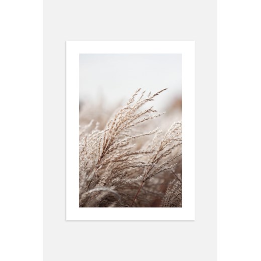 H & M - Grasses In The Wind Plakat - Pomarańczowy ze sklepu H&M w kategorii Plakaty - zdjęcie 169909005