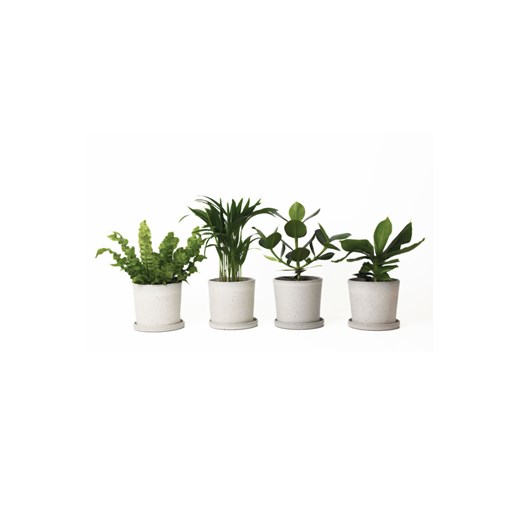 H & M - H & M Home Mix - zestaw 4 sztuk - Zielony H & M One Size H&M