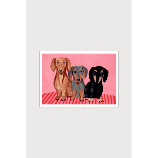 H & M - Iga Illustrations - Dachshunds - Biały ze sklepu H&M w kategorii Plakaty - zdjęcie 169909276