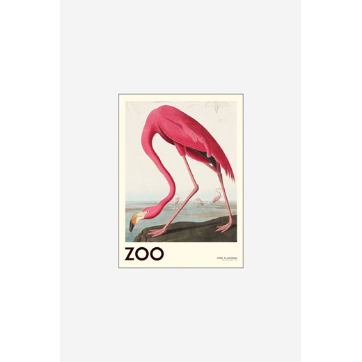 H & M - A. p. Atelier - Zoo Collection - Pink Flamingo 01 - Biały ze sklepu H&M w kategorii Plakaty - zdjęcie 169992689